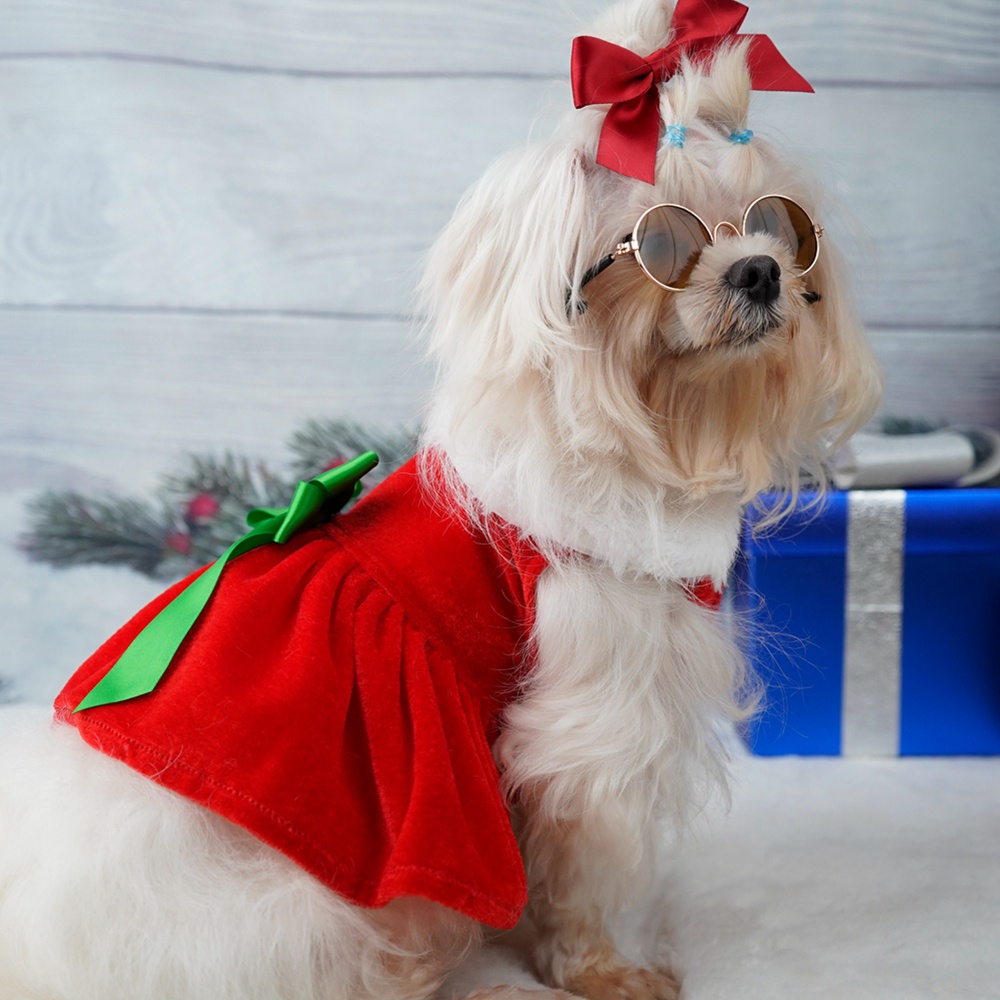 Breathable Cute Dog Christmas Dress Easy to Put on And Take Off