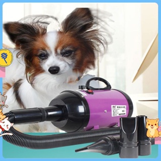 Portable Pet Hair Dryer Quick Hairdryer Blower Heater  Nozzles Dog Cat Grooming