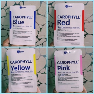 Carophyll france original blue red yellow pink / carophyll / carophyll / carophyll / carophyll red / carophyll blue / Carophylll / carophyll