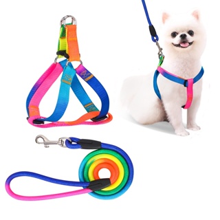 Robin. Harness & Leash Set Adjustable No Pull Safe Nylon Pet Harness with Leash for Outdoor Walking for Small to Medium Dog