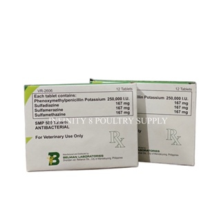 ♦۞SMP 500 Antibacterial (12 tablets x 1 Box) sold per box