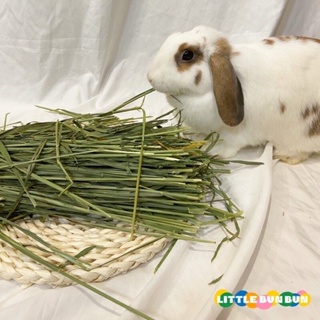 Premium Wheat grass/ timothy/ Oat/Orchard/ Barley hay- high nutrition rabbit food