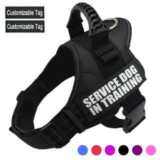 Personalized Dog Harness NO PULL Reflective Nylon Adjustable Training Pet Harness For Small large Do