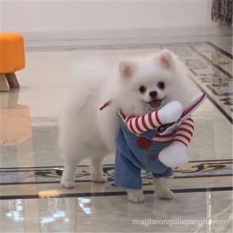 Funny Small Dog Clothes Sweatshirt Set Cosplay Big Suit Pet Cat Clothes Party Costume Face Cloth Com #1