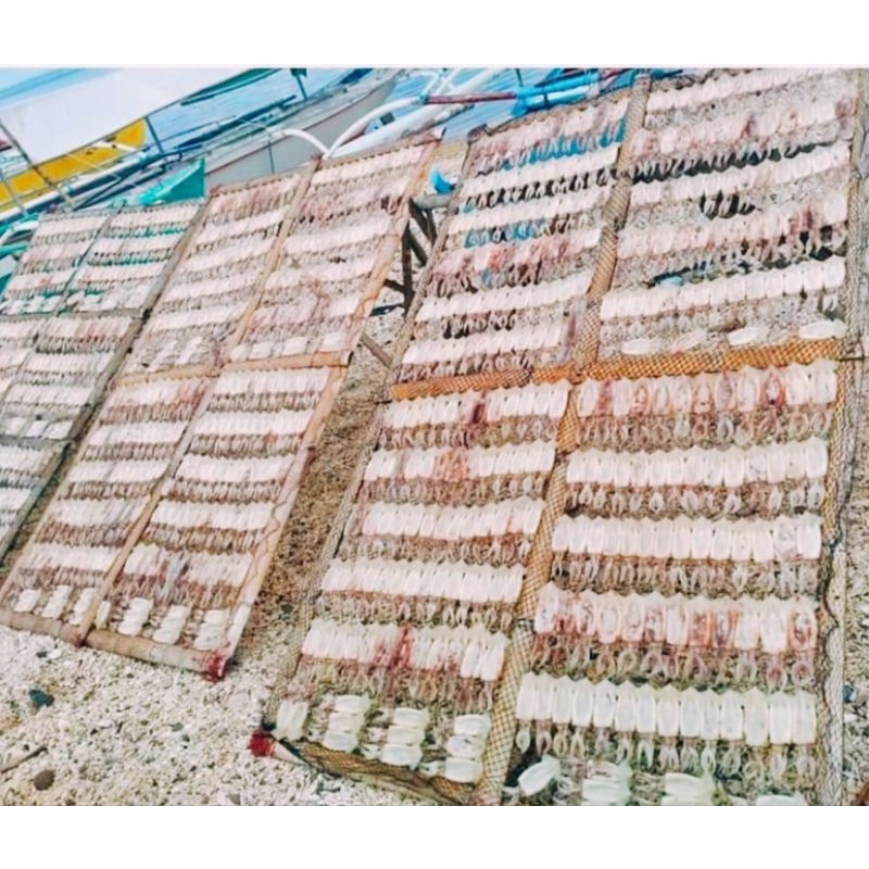 Dried Pusit From Limasawa Island Premium Quality Shopee Philippines