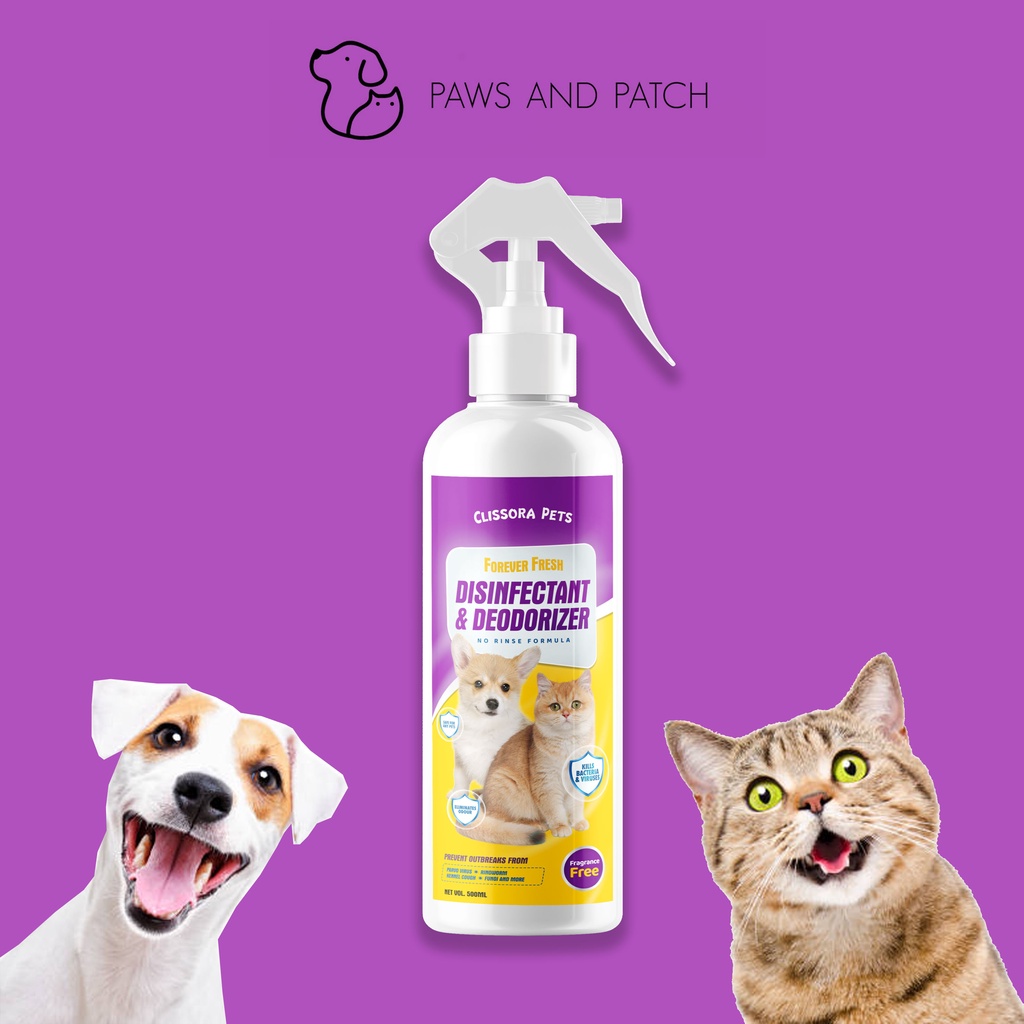 forever fresh Best Prices and Online Promos Dec 2022 Shopee