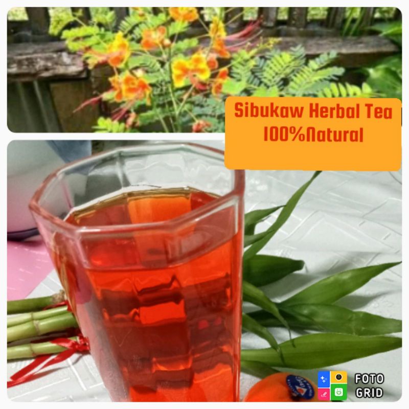 Sibukaw Herbal Tea Miracle Woods Shopee Philippines