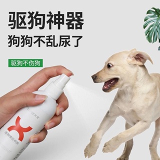 ☞❃♧The dog dog urine sprays chaos to pull t anti-dog urine spray dog ​​chaos urine prevention dog pe