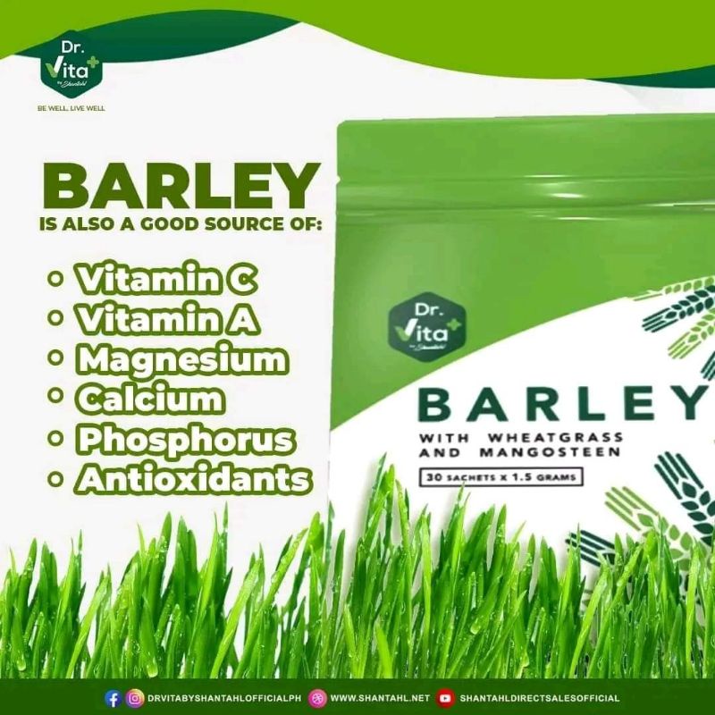 Dr Vita Barley New Packaging 30 sachets 1.5 grams Barley Juice Drink