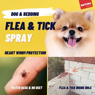 Dog Flea & Tick Remover Spray. NO DEET, WATER BASE, Free Dog soap, Heartworm Protection