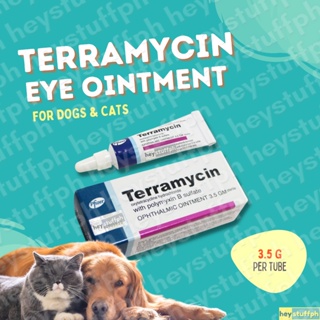 Terramycin 3.5g Ophthalmic Ointment Conjunctiva for Dog for Cat for Pets for Animals