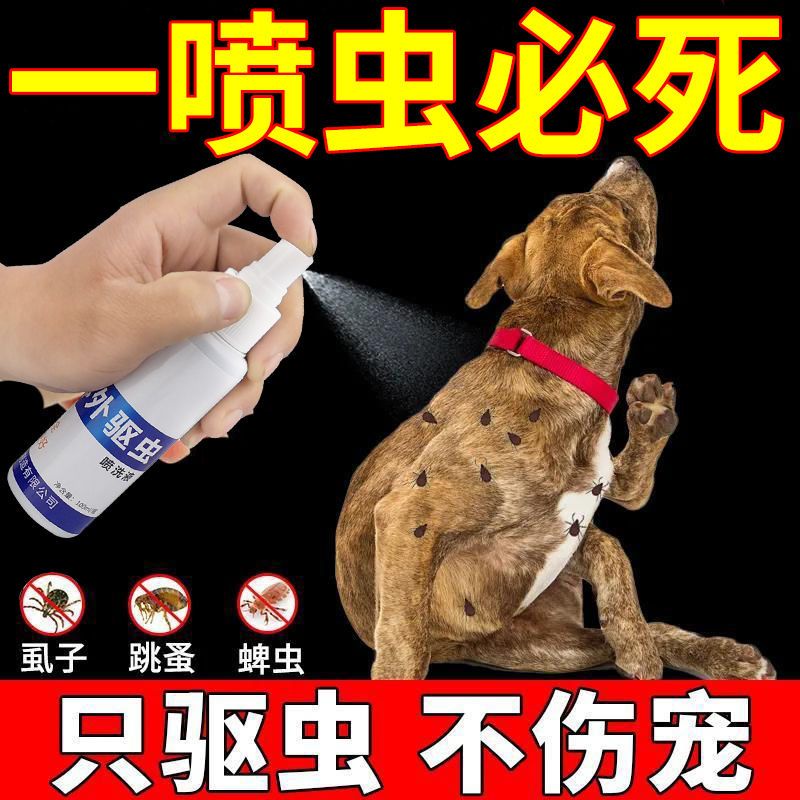 [Safety not afraid of licking] Flea medicine, dog deworming medicine, cat deworming medicine, lice #9