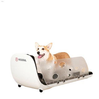 YESOUL wild beast pet treadmill home cat dog treadmill fitness equipment dog training artifact