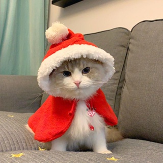 2022 new Korean version of ins trend cat dog Christmas cute dress kitten small dog teddy than bear English short puppet Christmas cloak cloak