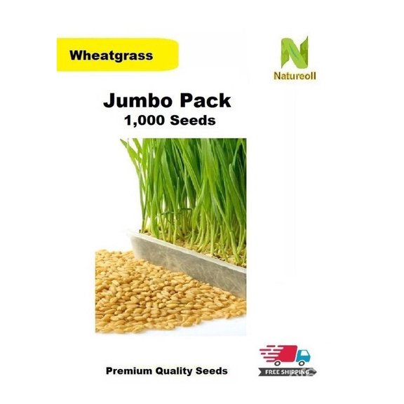 spot seeds1,000pcs Wheatgrass Seeds (Jumbo Pack) 9GAH
