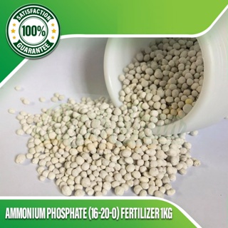 Ammonium Phosphate (16-20-0) Fertilizer 1kg #1