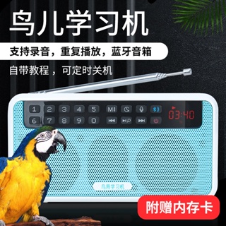 Bird learning machine repeater starling myna parrot learning talking machine bluetooth player record