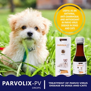 Parvolix Pv For Treatment Of Parvo Virus In Dogs And Cats