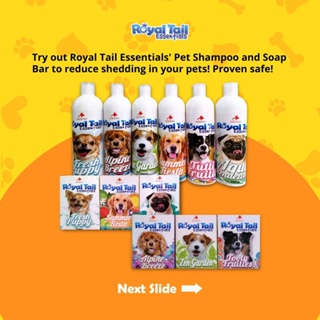Royal Tail Essentials BUNDLE!!! - Madre De Cacao - Shampoo&Soap 500ML / Perfume&Powder 100ML/G
