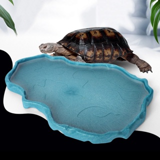 ☂✹▬✒✆Pet Reptile Feeder Bowl Basin Feeding Tray Dish Food Water Dispenser Pot for Turtle Tortoise Li