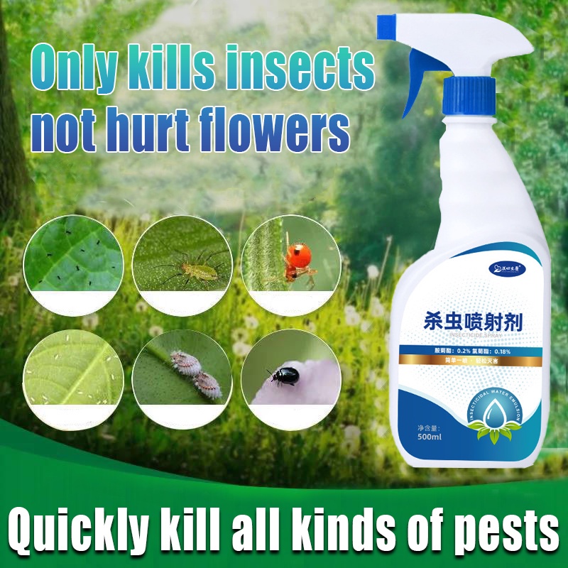 500ml insecticide spray to kill mosquitoes, cockroaches, geckos