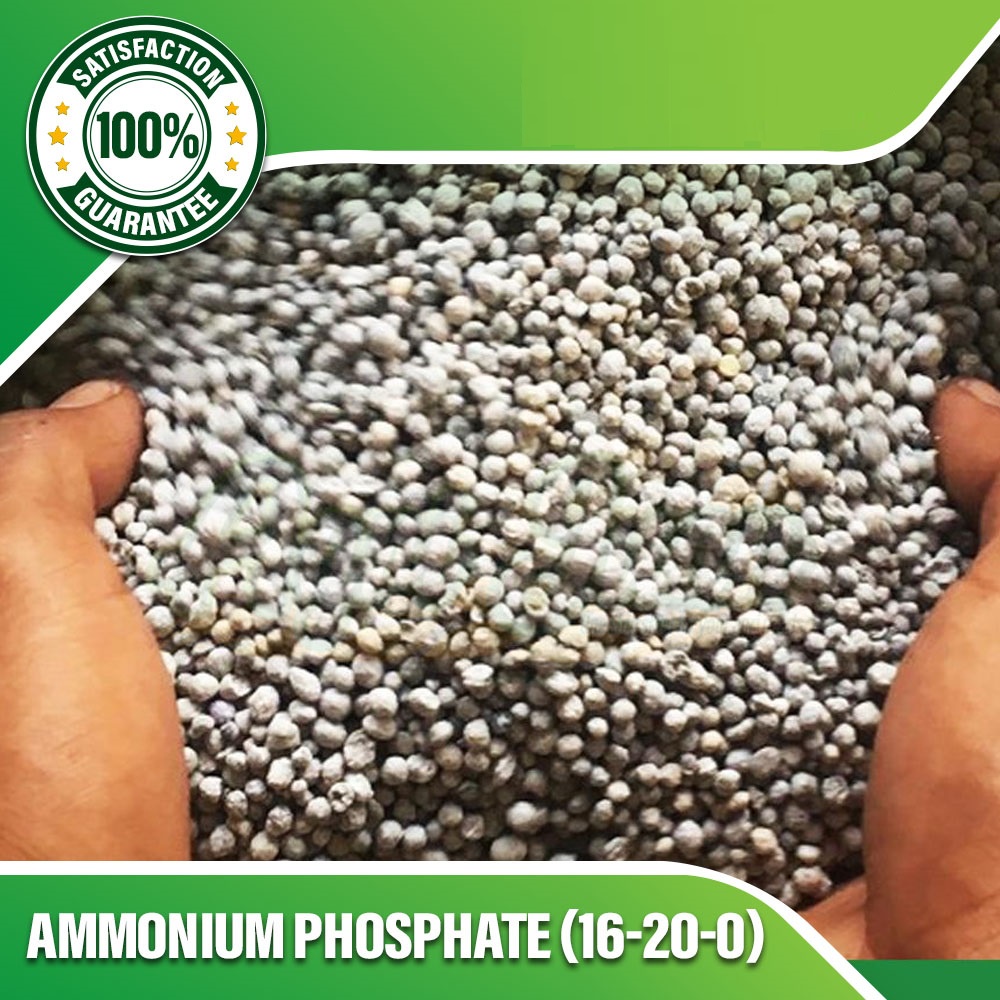 Ammonium Phosphate (16-20-0) Fertilizer 1kg