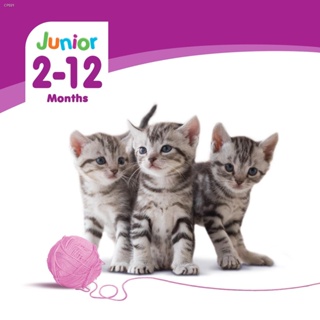 Lingerie & Underwear  WHISKAS Junior Tuna Flavor Kitten Wet Food Pouch (24-Pack), 80g. Wet Cat Food #8