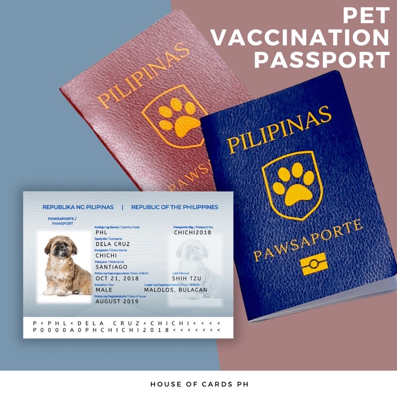 how to get a pet passport for a chihuahua in philippines
