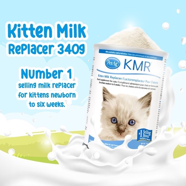 KMR Kitten Milk Replacer 340g Promo Sale