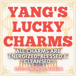 YANG'S  BLESSED LUCKY CHARMS MINER'S LINK (ENERGIZED and CLEANSED) For Live Feed Checkout Only