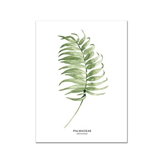 Monstera Deliciosa Nordic Poster Palmaceae Canvas Painting Leaf Wall Art Pictures For Living Room Modern Decorative Prints #5