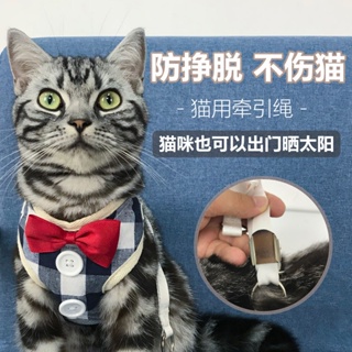 Bulate sa pusa¤Vibrato with the cat leash cat rope dog leash cat clothes collar cat rope small puppy