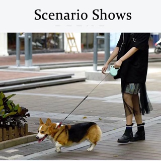 Pet Dog Automatic leash Telescopic  walking lead rope flexible convenience dog cat  leash  harness #5