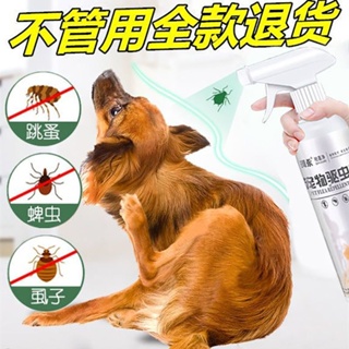 Pet insecticide spray household cat lice medicine flea medicine tick medicine deworming artifact d #1