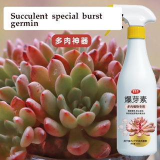 Succulent plant bursting nutrient solution 500ml bursting element foliar fattening and coloring to promote growth #7