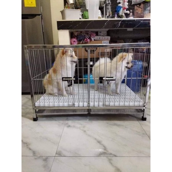 2x3x2 pure stainless 304 dog cages 2doors bend with divider with free