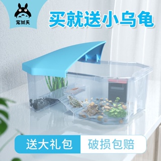 Turtle tank ecological landscape fish tank small, medium and large turtle tank household water and l #2