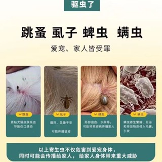 ┅Cat anthelmintic cat in vitro insecticide kitten in vitro deworming pet cat to remove lice and ti #6