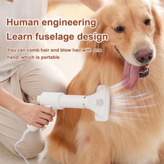 Pet Dog Hair Dryer Grooming Cat Hair Comb Brush Supplies Low Noise Fur Blower Portable Rapidly Dry