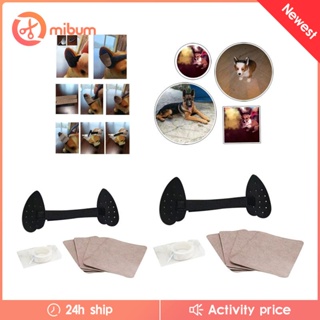 [Mibum] Dog Ears Stand up Support Ear Sticker Assist Erected Dog Ears Posting Kit for Home