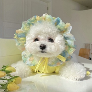 Korean Spring Summer New Style pets Gauze Bichon Teddy Dog Skirt Bubble Cute Breathable Pet Clothes Dress