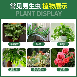 【GOOD】[kill multiple insects] plant vegetable field flower fruit pest control insecticide spray flow #6