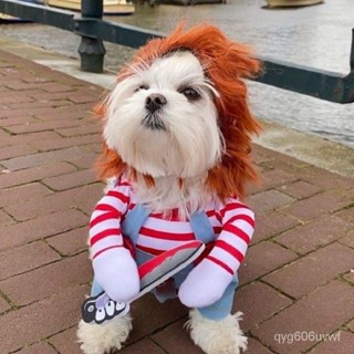 Funny Small Dog Clothes Sweatshirt Set Cosplay Big Suit Pet Cat Clothes Party Costume Face Cloth Com #4