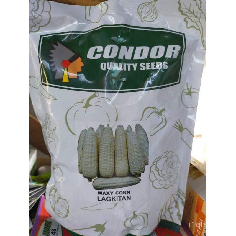 WAXY CORN LAGKITAN KILO CONDORseeds VW6P Shopee Philippines