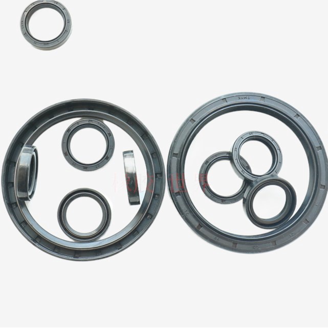 Skeleton oil seal with spring TC skeleton oil seal (16*24*716*40*10