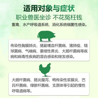 【Good】Veterinary 20% florfenicol powder soluble respiratory disease pig cattle sheep chicken medicin