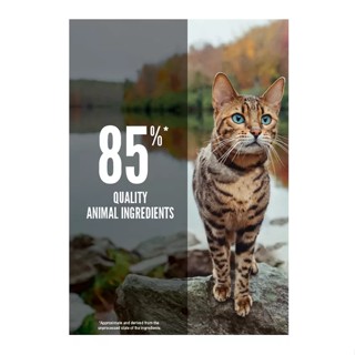 Orijen Six Fish Cat I Dry Cat Food 1.8kg #3