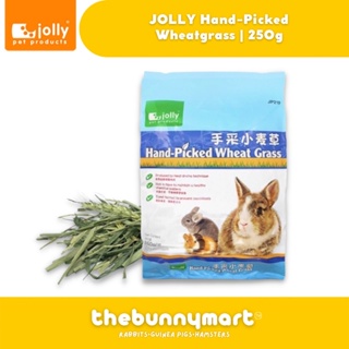 JOLLY HAND-PICKED WHEAT GRASS FOR RABBITS & SMALL PETS