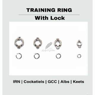 Bird Training Ring with LOCK / Parakeets/Albs1/Albs2/Cockatiels, GCC 4mm 5mm 6mm 7mm