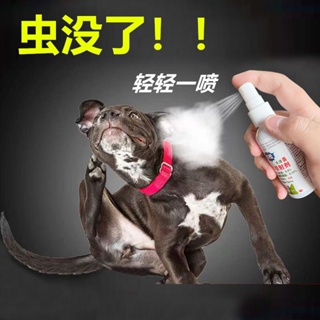 ▼☞♠Pet anti-flea insecticide spray household flea medicine cat dog pet de-lice medicine tick insect